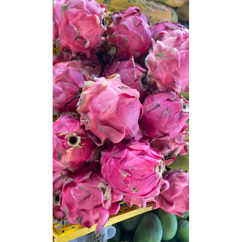 

(INSTAN) Buah Naga Super Manis Mantul