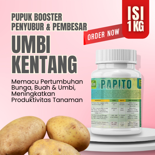 Pupuk Kentang Nutrisi Organik Booster Pelebat Penyubur Akar Daun Pembesar Penumbuh Umbi Kentang ZPT