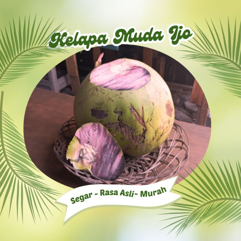 

Air Kelapa Muda Ijo untuk Pengobatan 1 biji