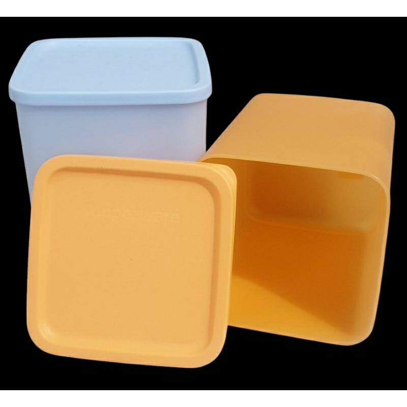 Baru Toples Tupperware Large Summer Fresh