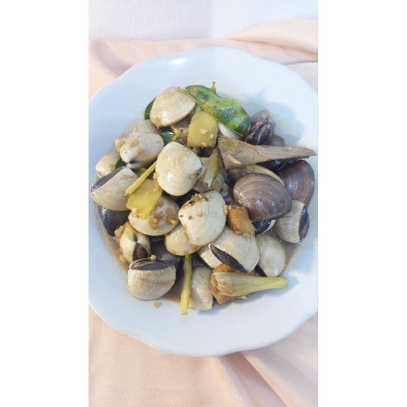 

MASAKAN SIAP SAJI KERANG TUMIS SAOS TIRAM 1 - 2 Orang /HIGIENIS/HOMEMADE