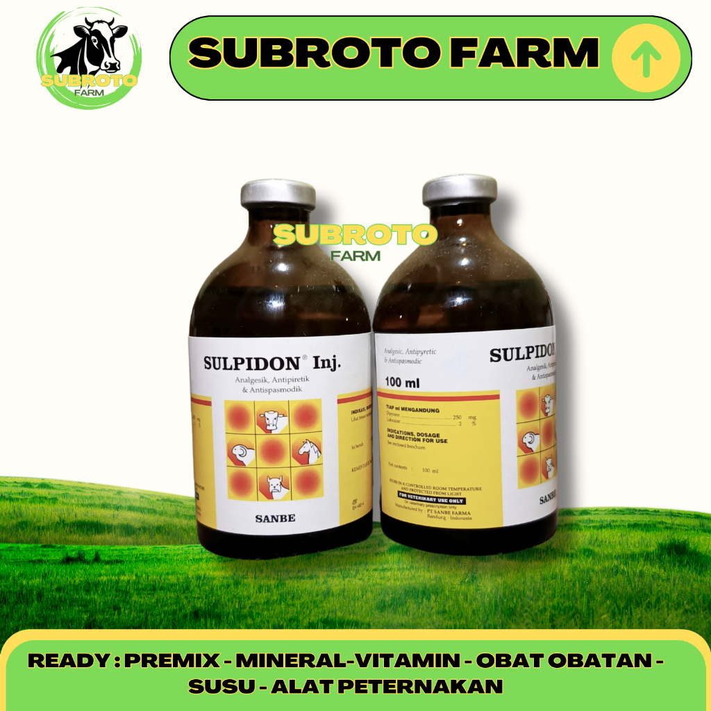 SULPIDON INJ 100 ML SANBE