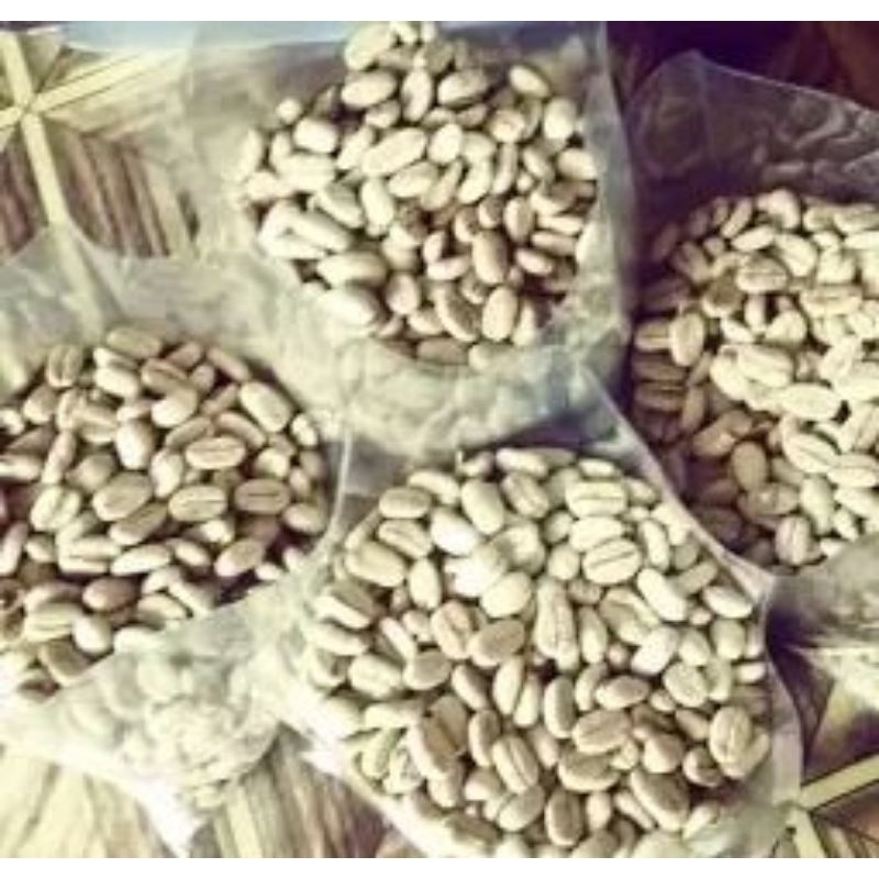 benih biji kopi arabika 1kg
