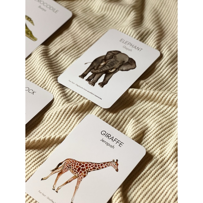ANIMAL SERIES Lui’s Learning Cards | Flashcard | Aesthetic Flashcard | Mainan Edukasi