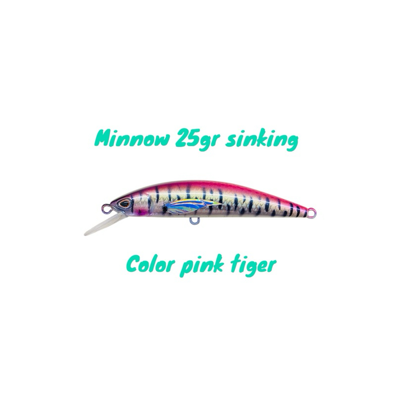 minnow type sinking