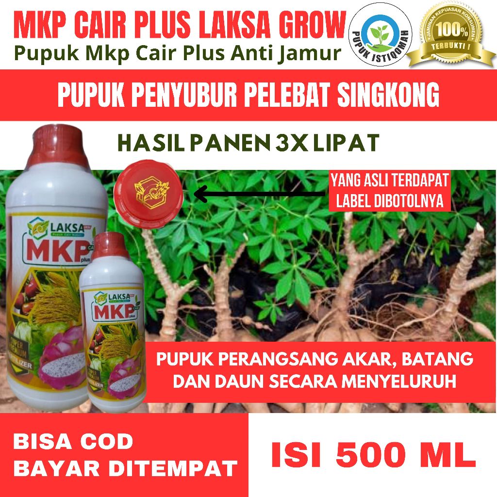 PUPUK PEMBESAR SINGKONG ORGANIK MKP CAIR PLUS LAKSA GROW 500 ML Pupuk Pelebat Buah Singkong Tahan Di