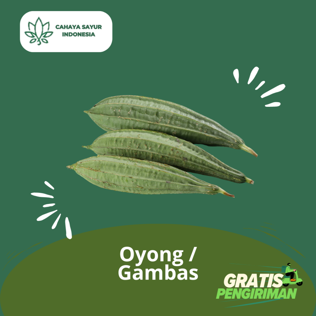 

Sayur Oyong / Gambas 1Kg + Gratis Ongkir