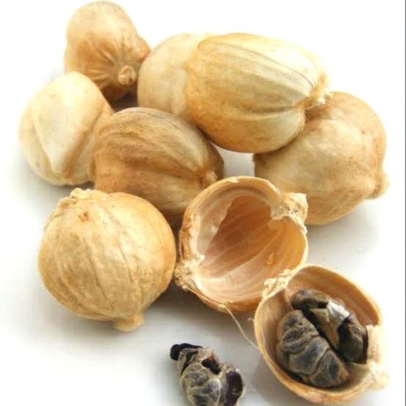 

Kapulaga / Bumbu Rempah