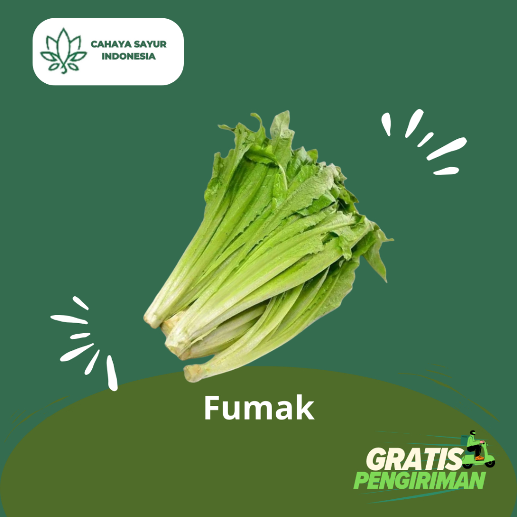 

Fumak / Kumak / Fumek 1KG Termurah + Gratis Ongkir