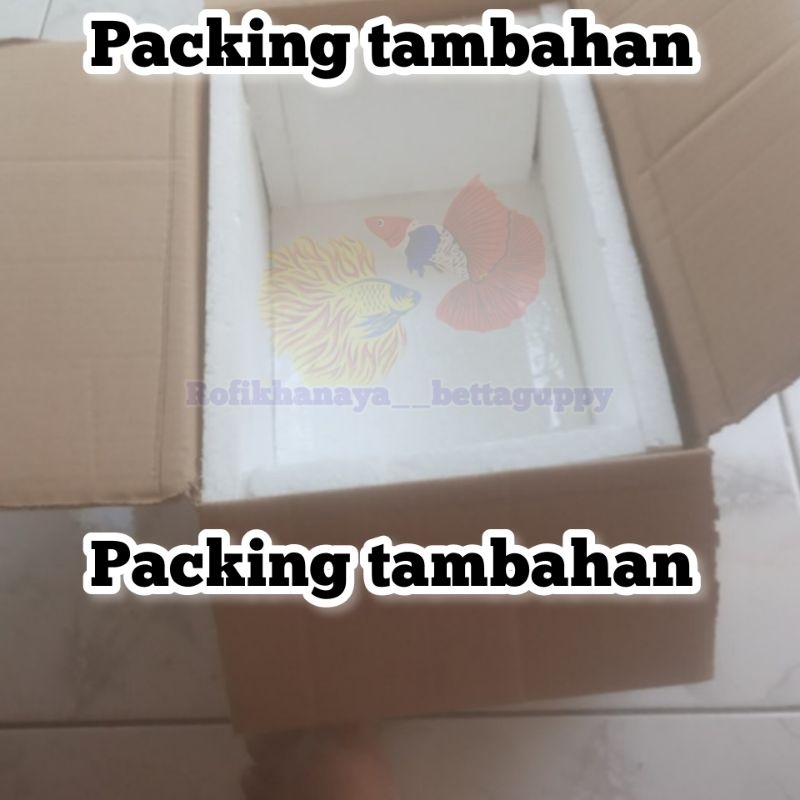 

PACKING TAMBAHAN STYROFOAM