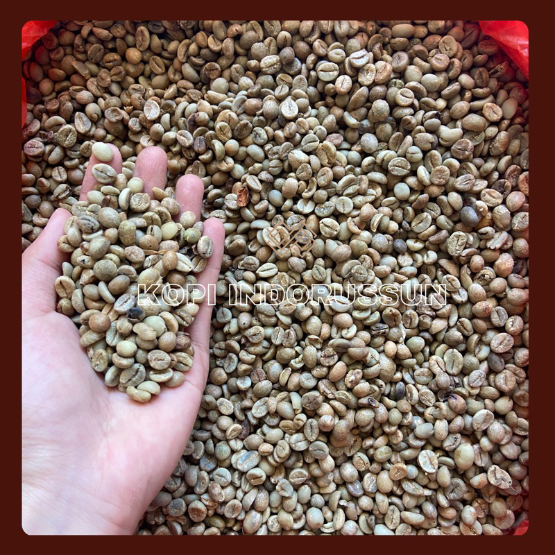 

GREEN BEAN ROBUSTA TORAJA 1 kg