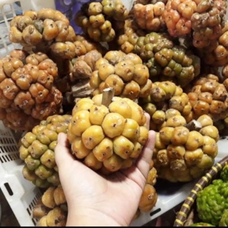 

Asam Cikala/Asam Sikala/Asam Patikala Medan Fresh 250 gram