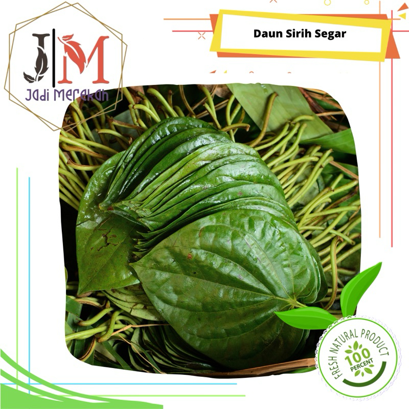 

[JMSoFresh] Daun Sirih Segar / Daun Suruh / Daun Lu’at / Daun Sireh / Daun Bido / Daun Base / Daun Amo