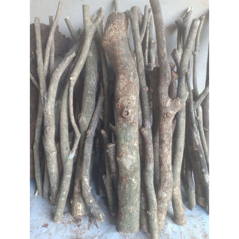 Kayu ranting panjang 50 cm kayu bakar camping api unggun 1kg