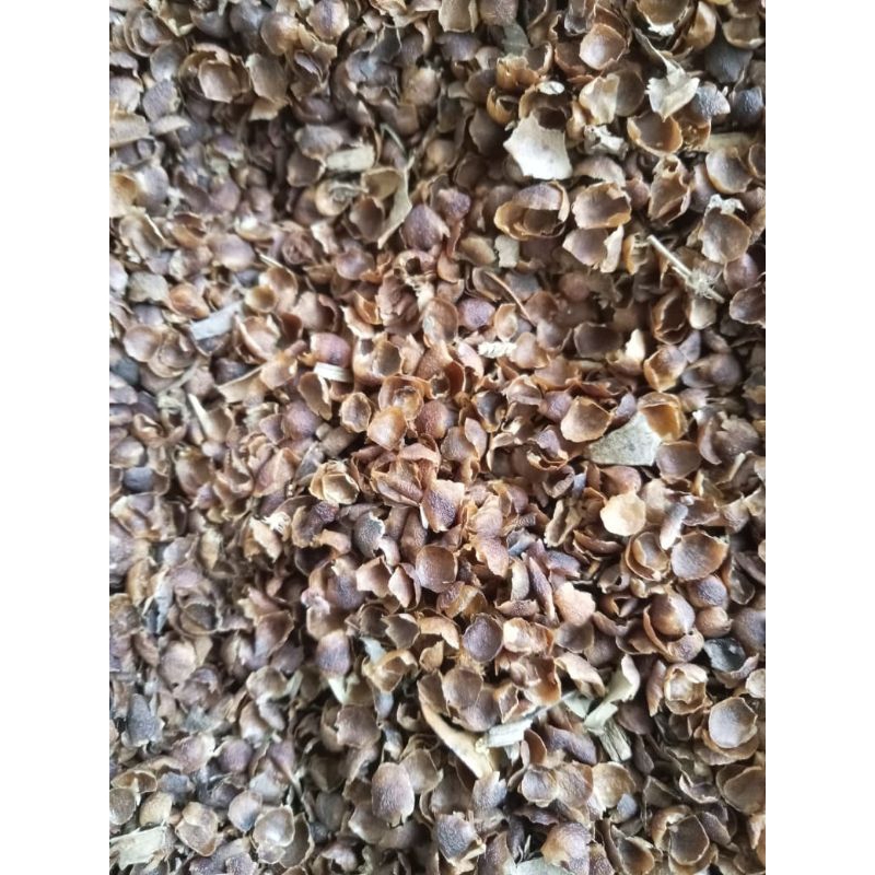 

angkup kelopak bunga cengkeh 1kg kering.