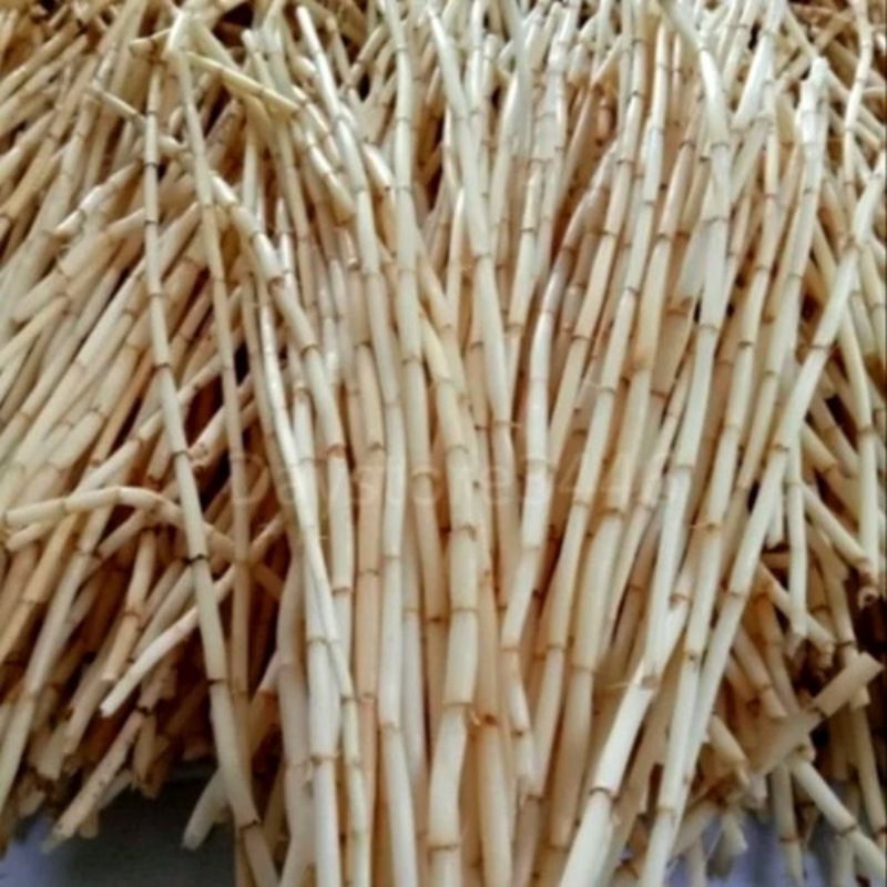 

Akar Alang-alang Segar 1 kg Fresh / Akar ilalang Ramuan Herbal