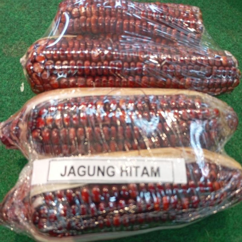 

Jagung Hitam segar 500gr