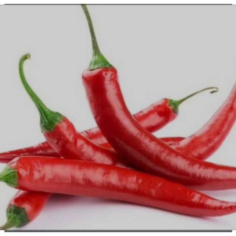 

cabe merah besar murah