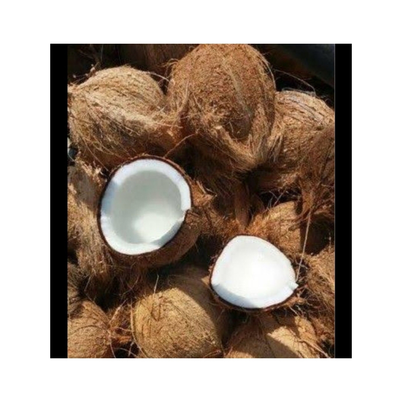 

dpurplepark- SANTAN KELAPA PARUT 1 BUAH