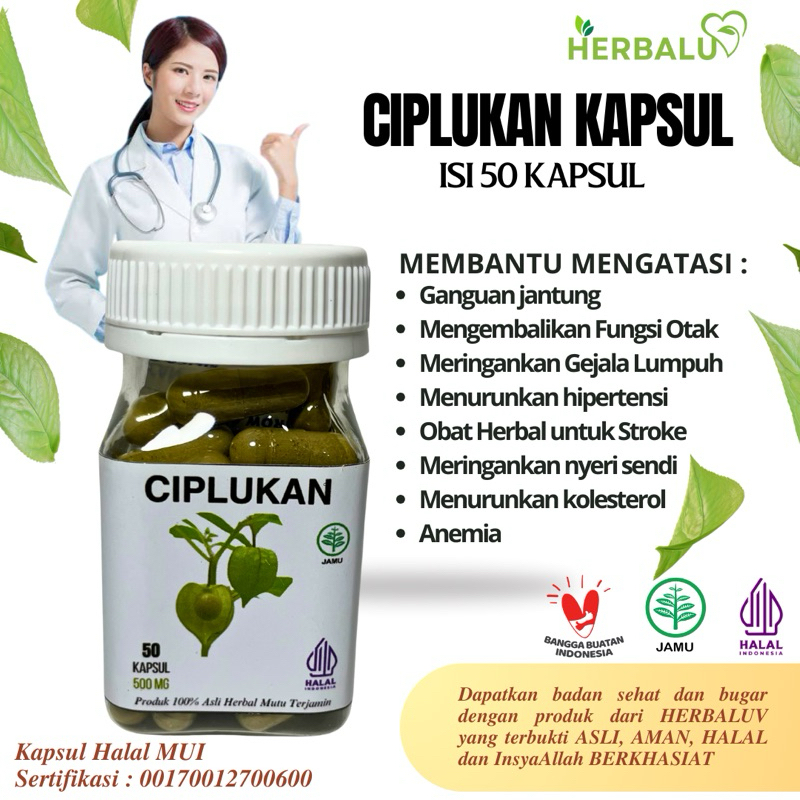 HERBALUV Ciplukan Original Herbal Stroke