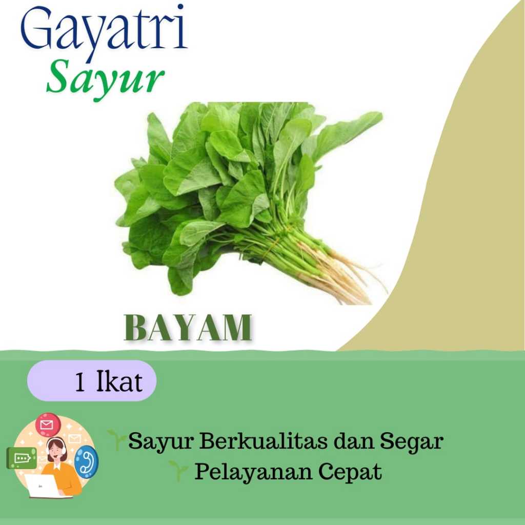 

Sayur Bayam Akar 1 Ikat - KIRIM INSTANT Gayatri Sayur
