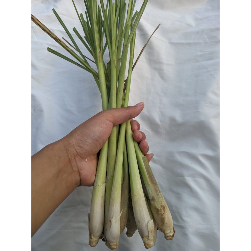 

sereh bumbu berat 500 gram