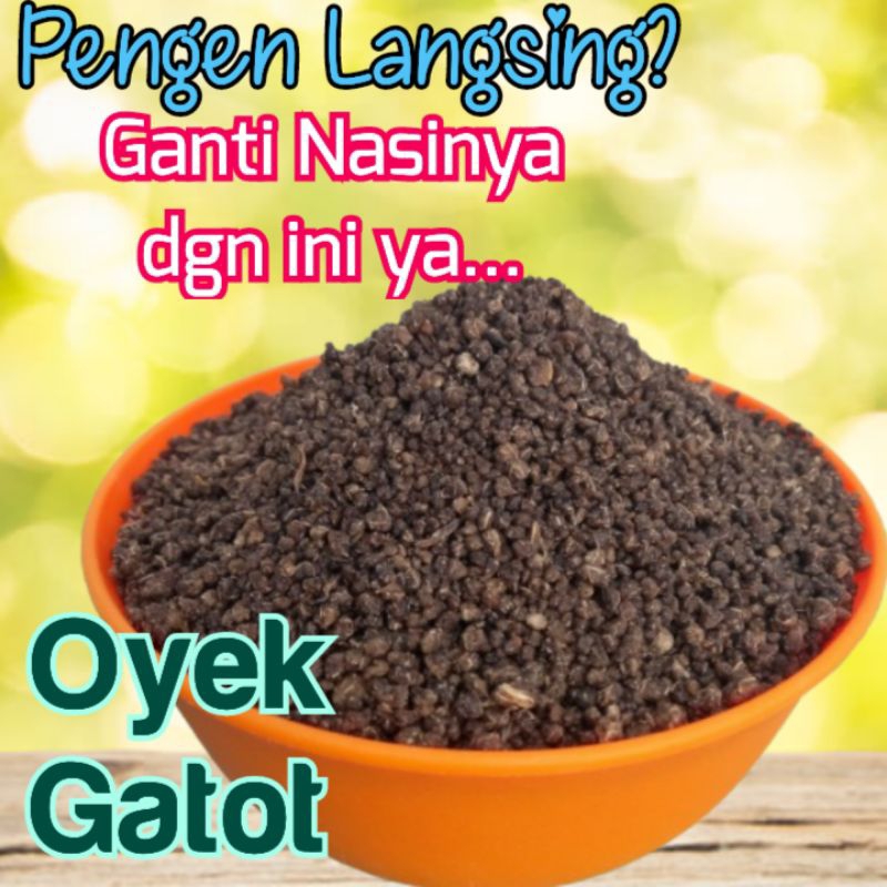 

Thiwul (oyek) Hitam 500 gr