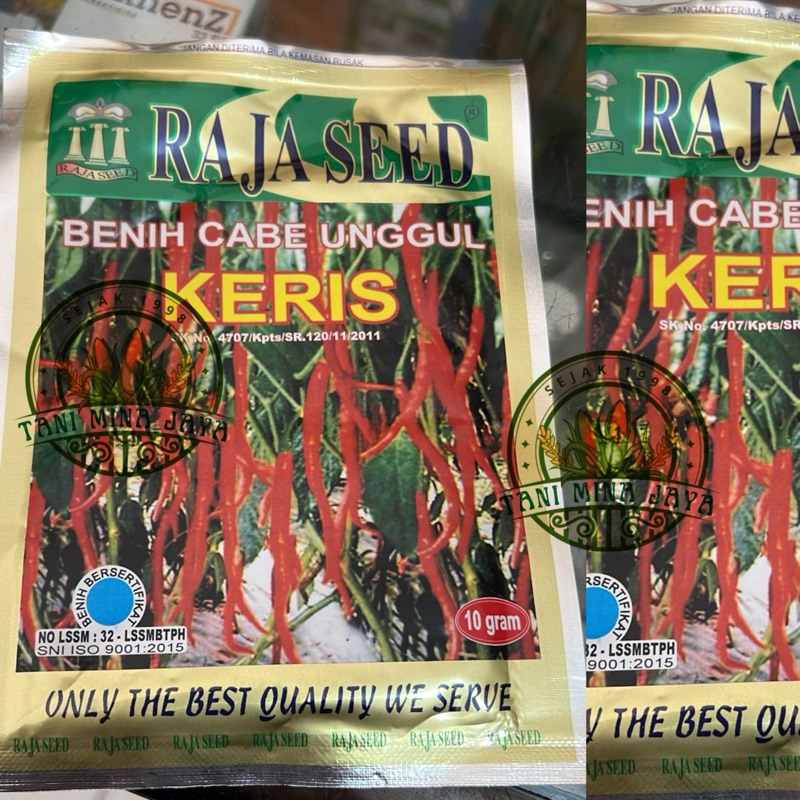 [TANI MINA JAYA] BENIH BIBIT CABE UNGGUL KERIS RAJA SEED