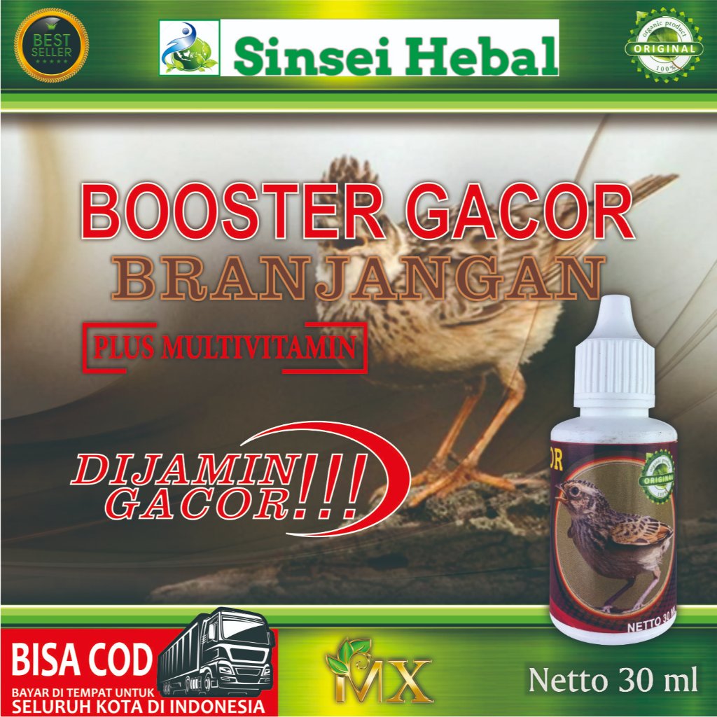 Booster Gacor Burung Branjangan | Vitamin Burung Branjangan