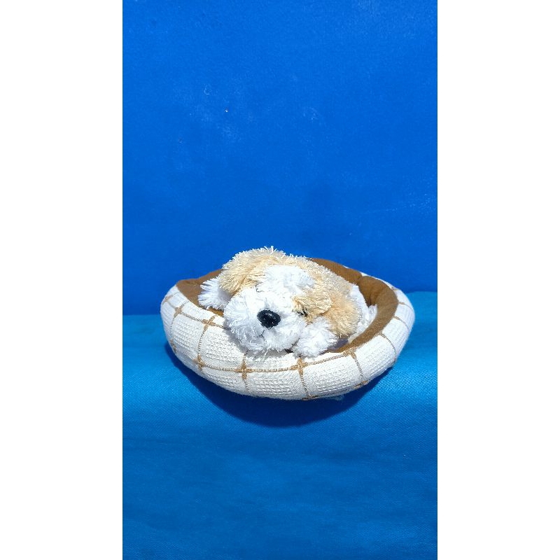 Boneka Doggy / Guguk Cantik Dalam Alas (PL) Lepas Kolpri