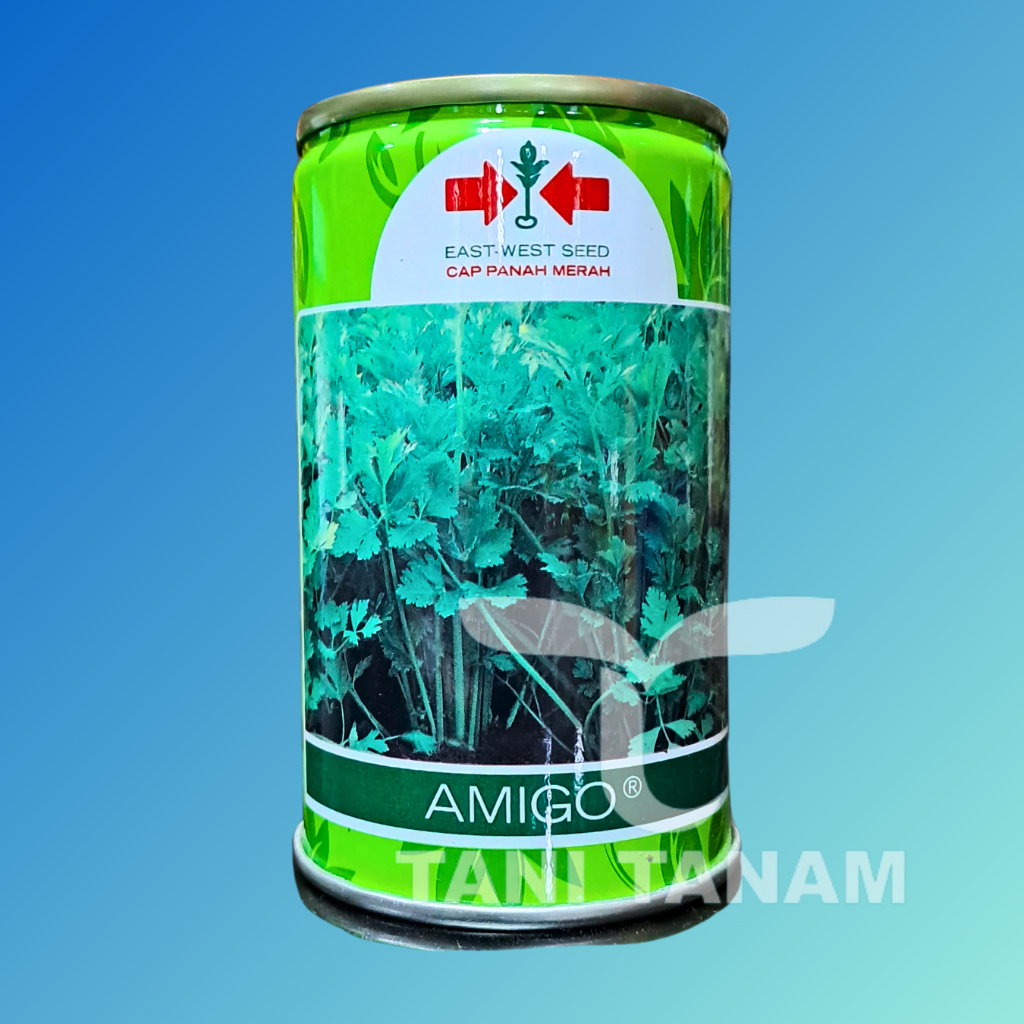 BENIH SELEDRI AMIGO 50 GRAM KEMASAN KALENG CAP PANAH MERAH