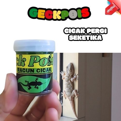 Geckpois racun cicak sangat ampuh mengusir cicak bangkai tidak bau aman dirumah anda DELLO
