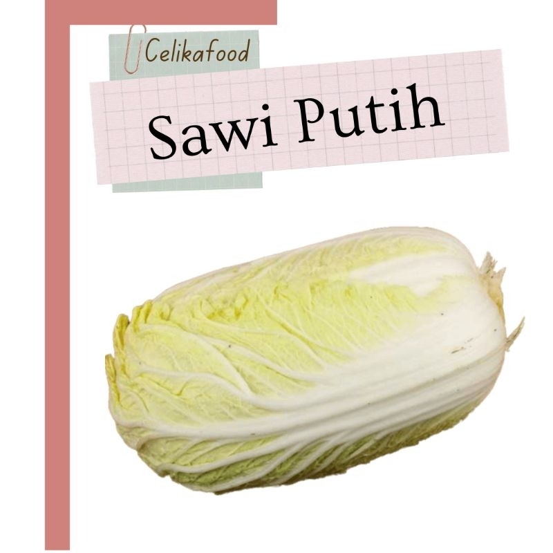 

Sawi Putih 1 Pcs Sayur Pecay Petsai Pecai Sayuran Fresh