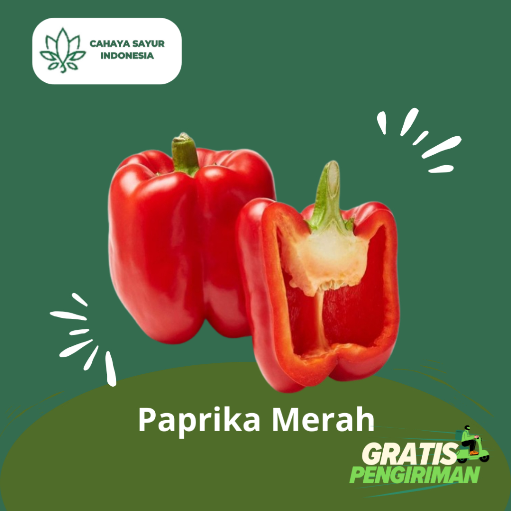 

Paprika Merah 1kg / Sayur Paprika Segar