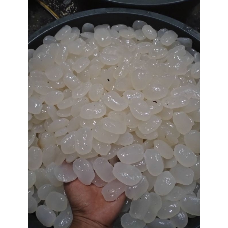 

Kolang kaling 1kg Asli tasik Kaya manfaat