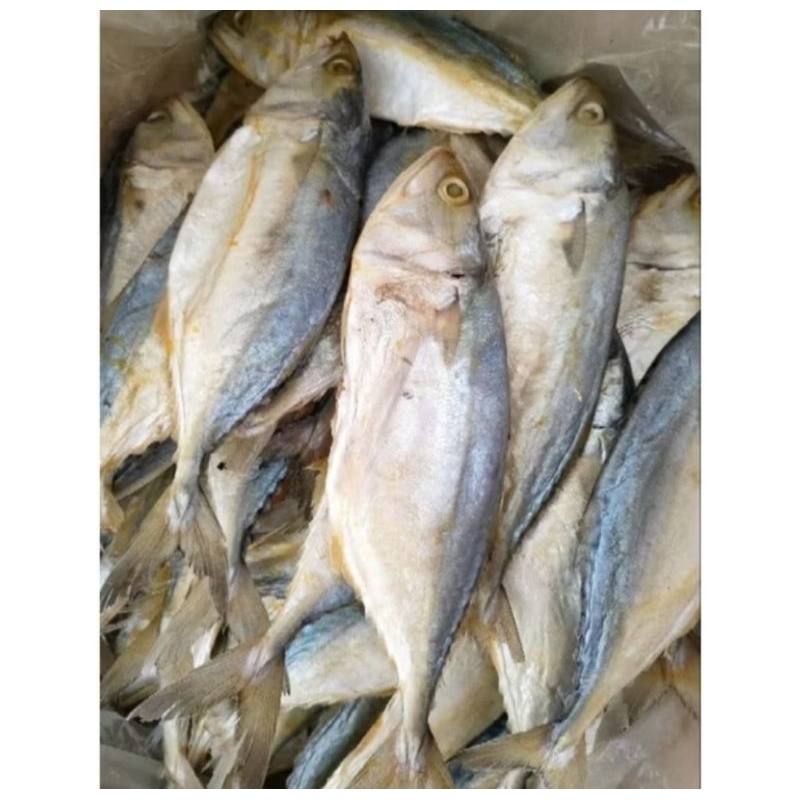 

IKAN ASIN PEDA 1KG