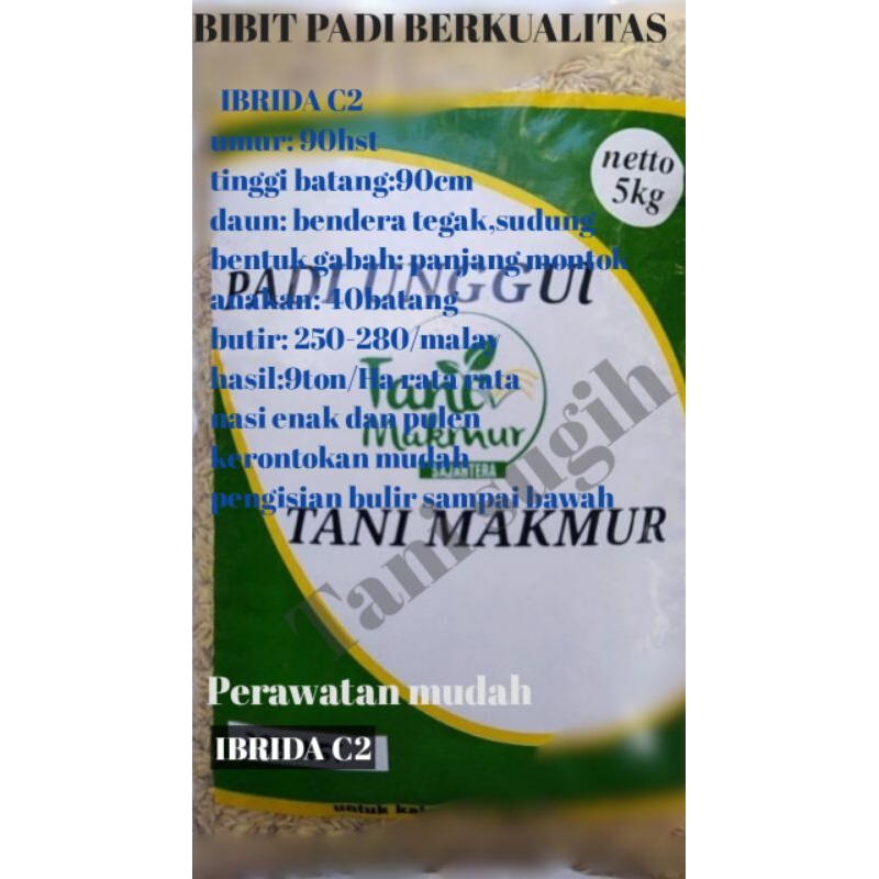 Benih padi INBRIDA C2 kemasan 5kg