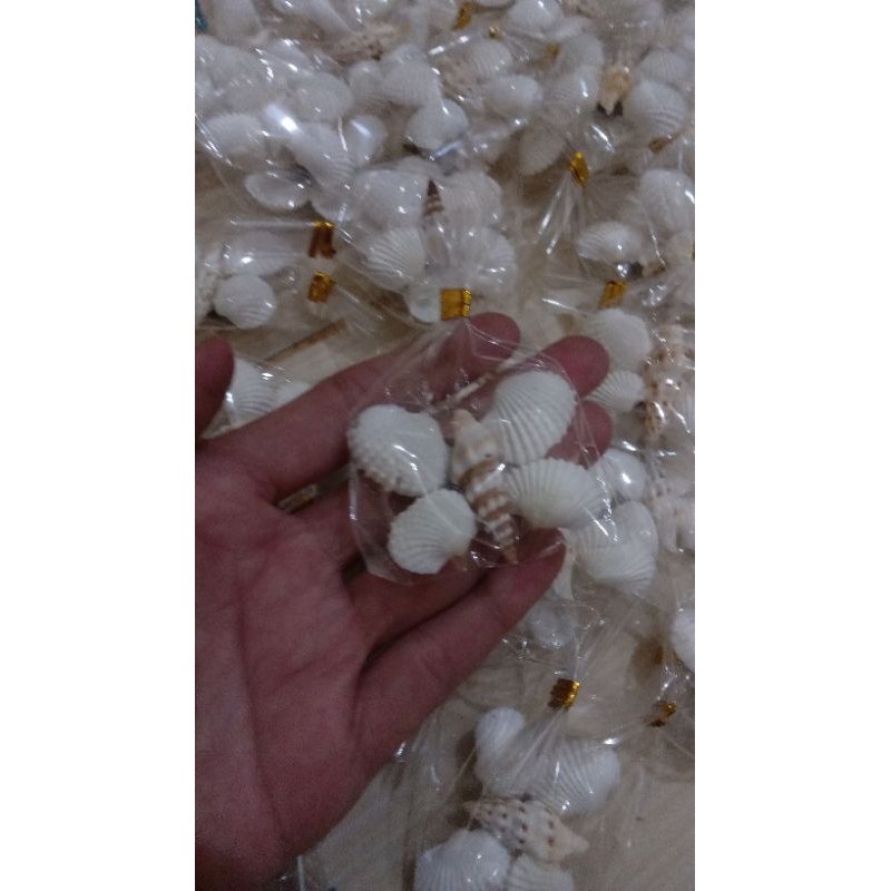 magnet kupu/magnet kulkas/hiasan kerang