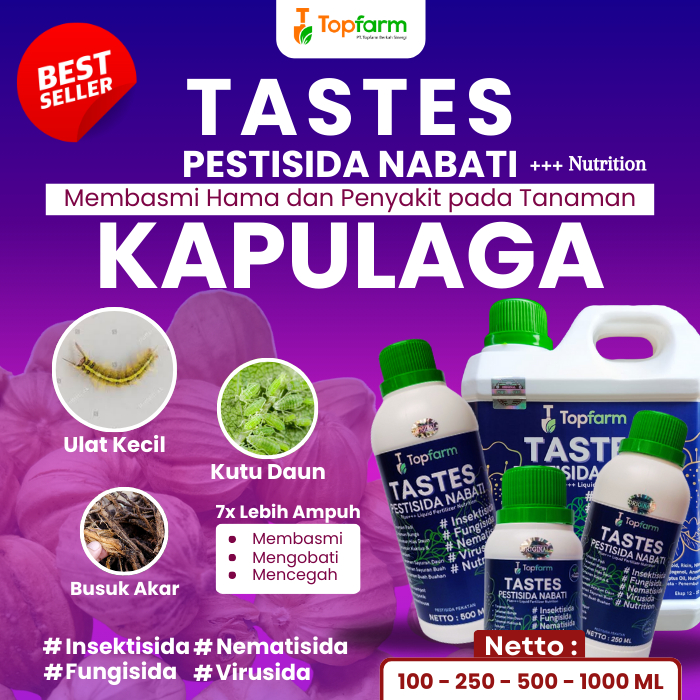 Obat Buah Kapulaga / Obat Hama Buah Kapulaga / Obat Semprot Kapulaga / Obat Semprot Buah Kapulaga / 