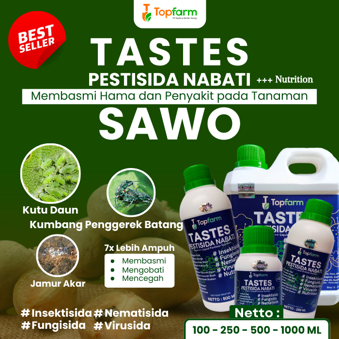 Obat Hama Tanaman Sawo / Obat Hama Untuk Sawo / Obat Hama Buah Sawo / Obat Semut Pohon Sawo / Obat L