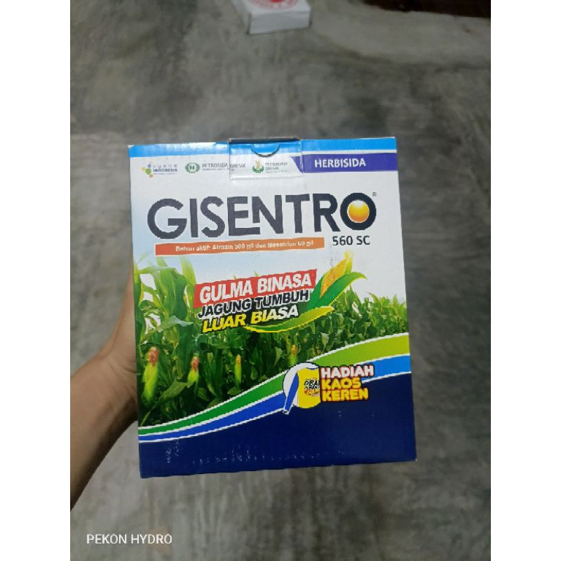 GISENTRO 560SC 500 ML SELEKTIF JAGUNG HERBISIDA PRA PURNA TUMBUH
