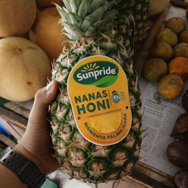 

BUAH NANAS MADU SUNPRIDE UKURAN BESAR MANIS