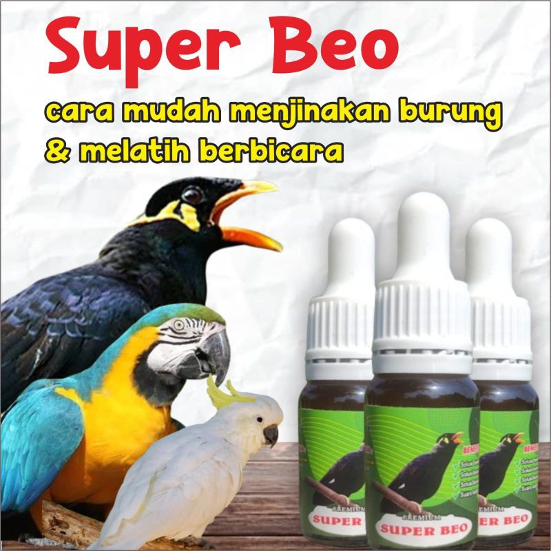 super beo vitamin penggacor burung beo dan penjinakan