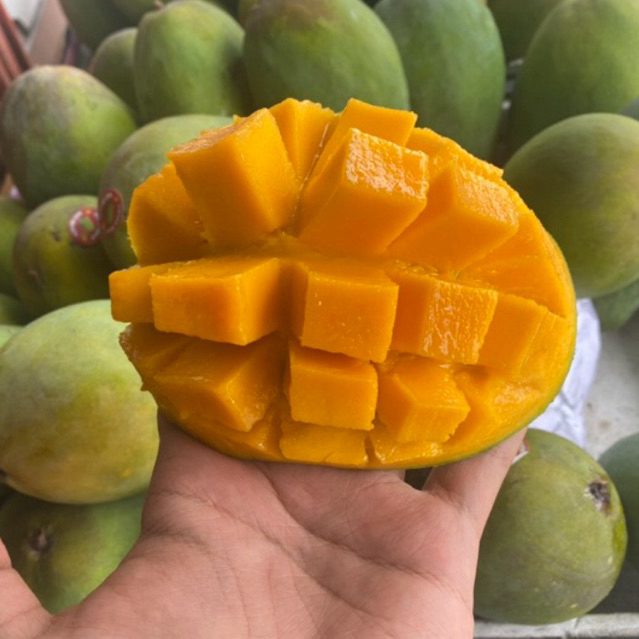 

Mangga Harumanis 1 kg
