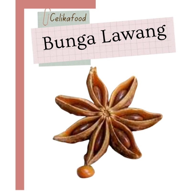 

Bunga Lawang Kering Pekak Kembang Rempah Bumbu Masak