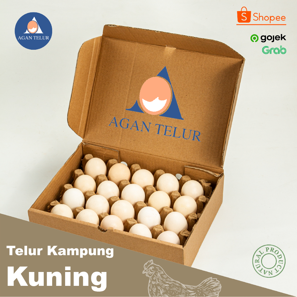 

Telur Ayam Kampung Kuning Lokal isi 20 Butir/ Box Agan Telur