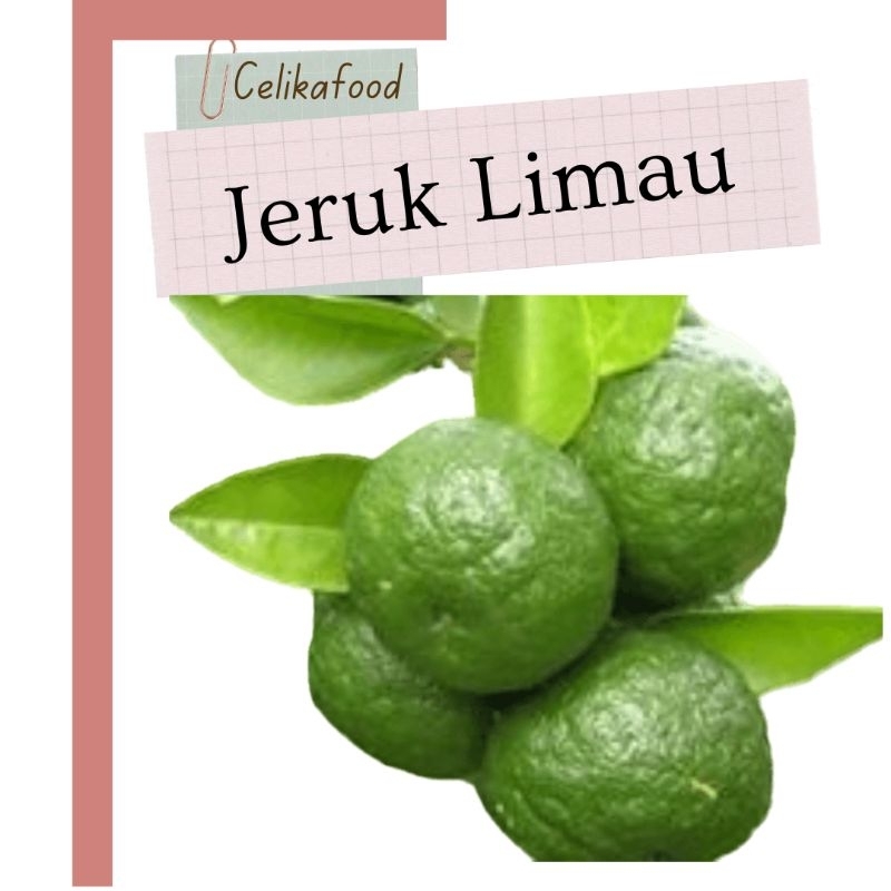 

Jeruk Limau Sambel Sambal 100gr Limo Bumbu Masakan