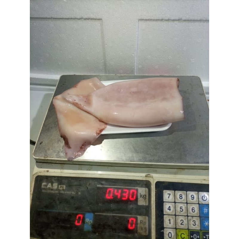 

Ikan Cumi Kupas Siap Olah 500Gr