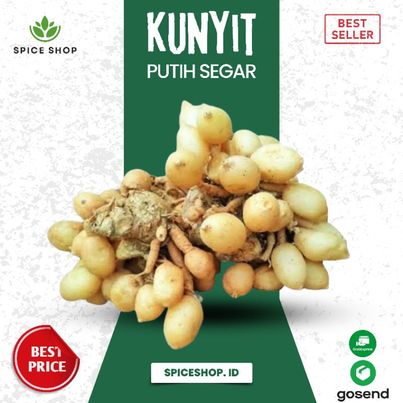 

Kunyit putih gombyok / kunci pepet ( Kaempferia rotunda) segar