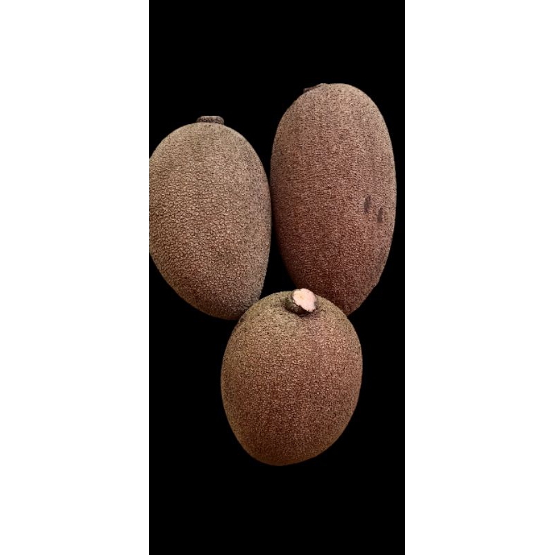 1 buah berat 1,5kg sawo Mame sapote magana